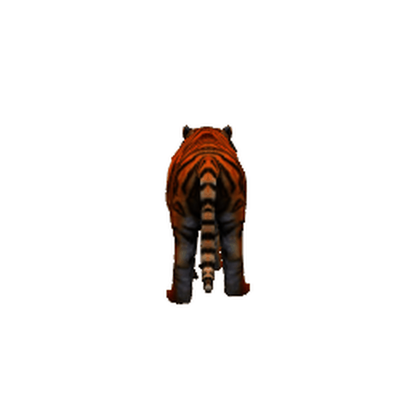Starting mesh position of a tiger